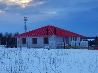  DS-2024 Устройство кровли